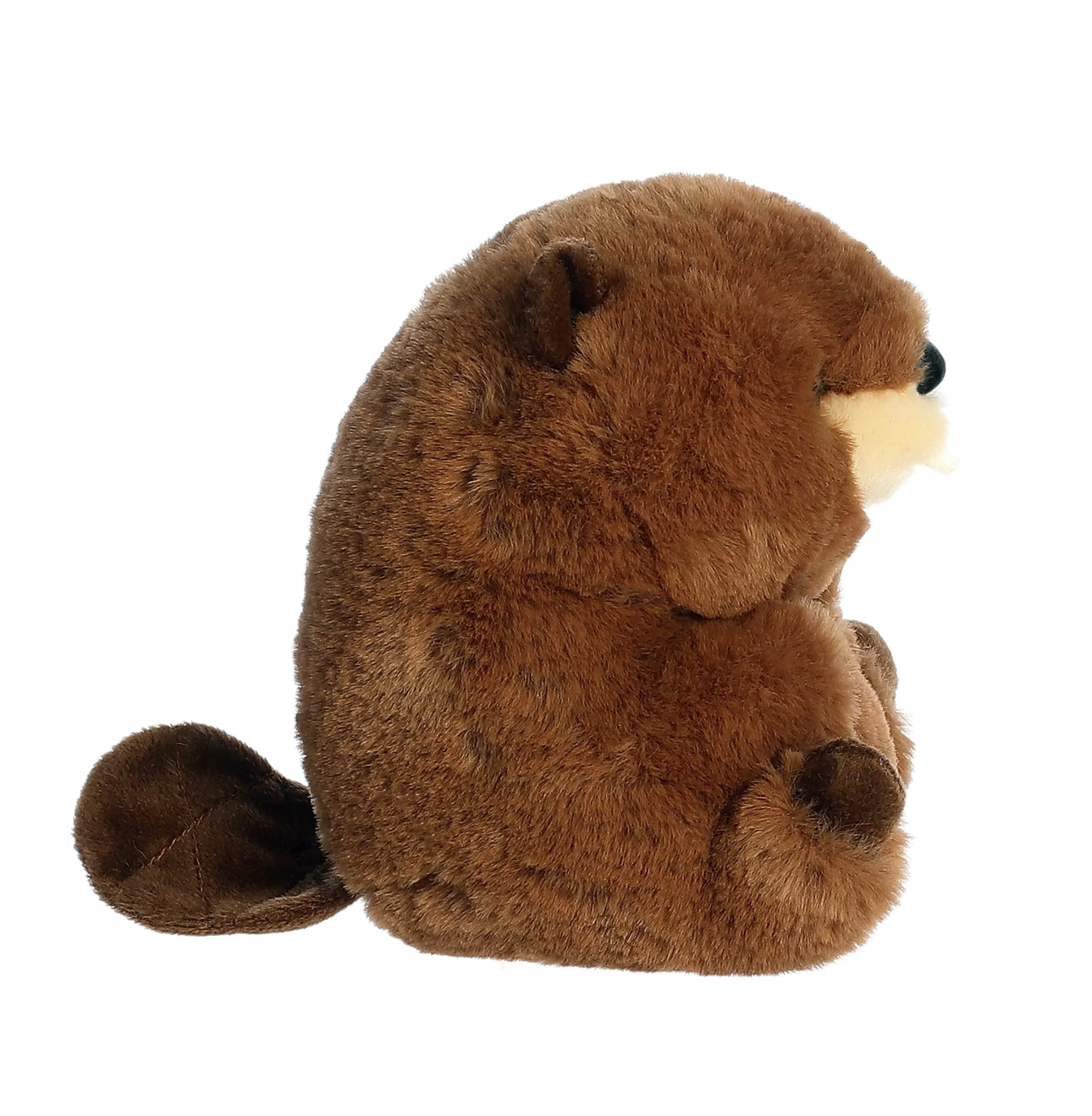 Rolly Pets Beethoven Beaver