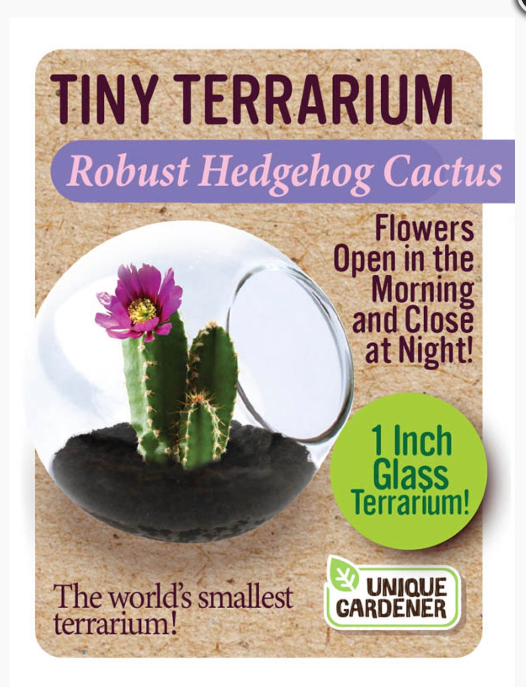 Tiny Terrarium Kit