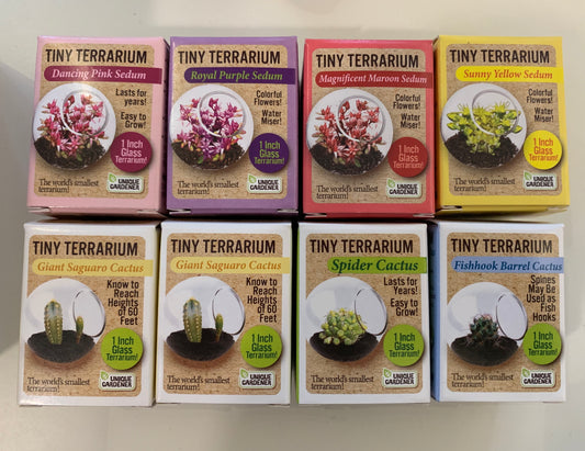 Tiny Terrarium Kit