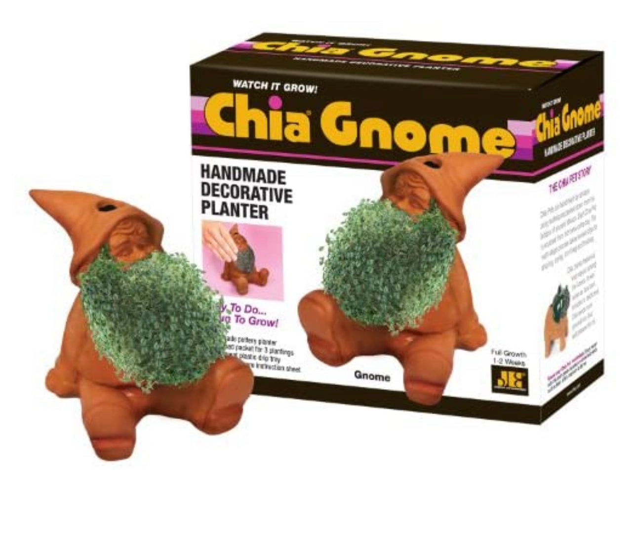 Chia Pet Assorted Styles