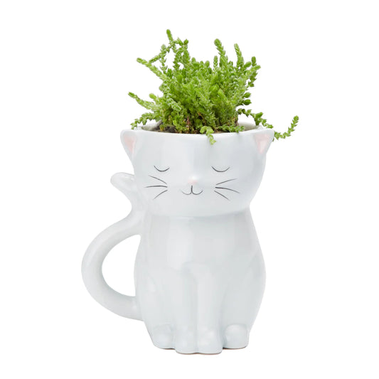 Streamline Kitty Cat Planter