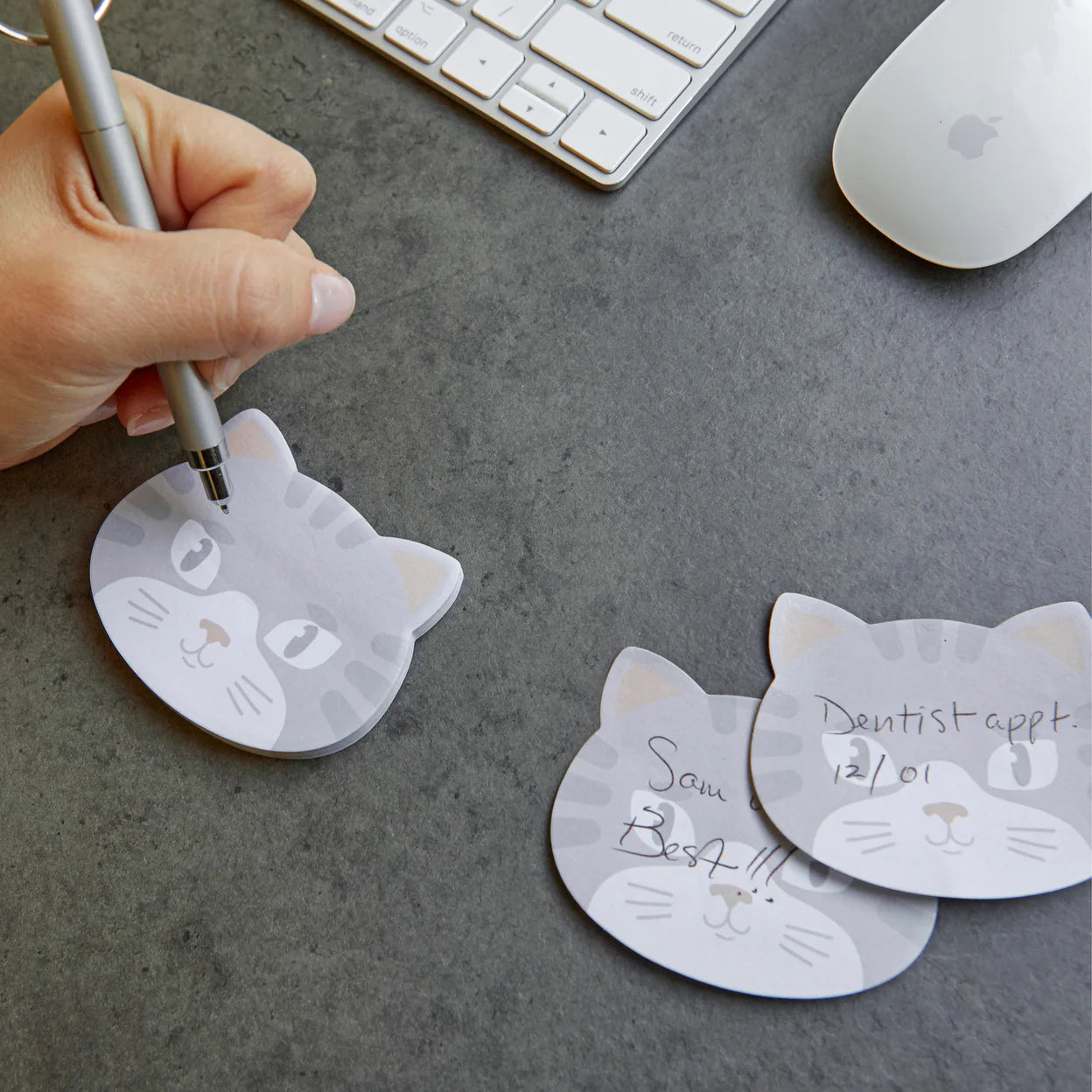 Kikkerland Kitty Cat Sticky Notes