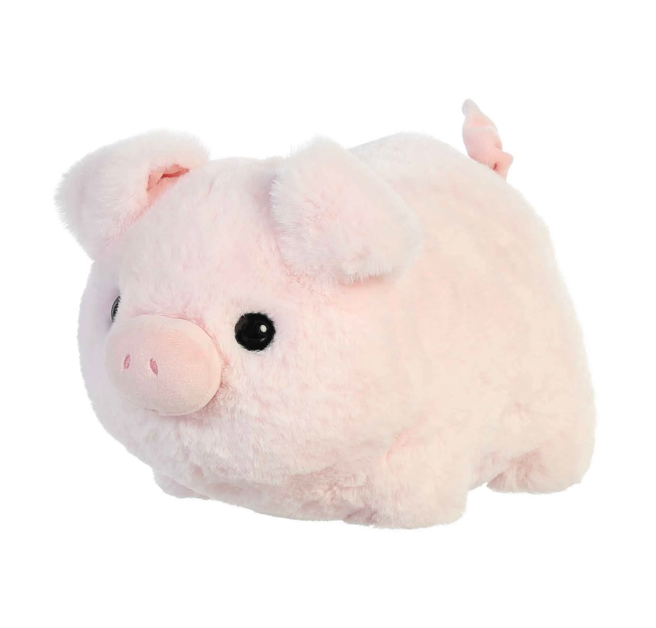 Spudsters Cutie Pig