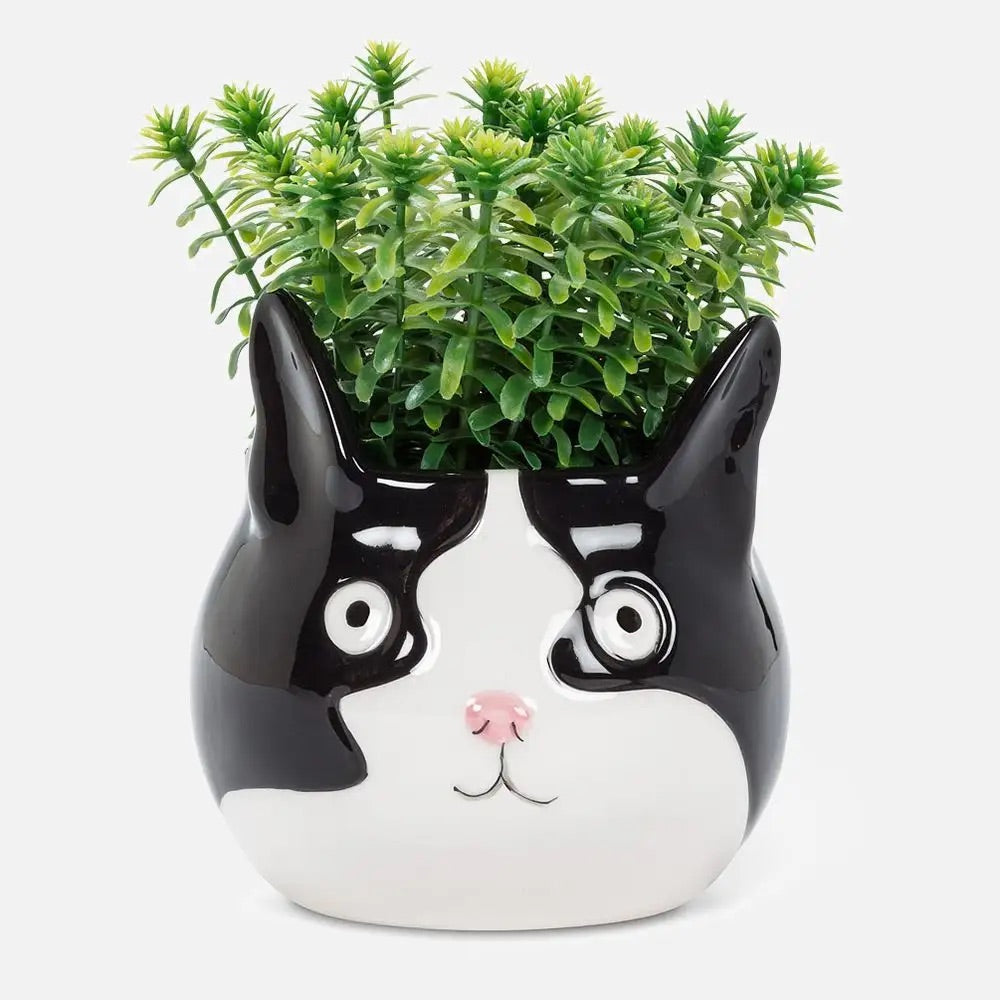 Cat Head Planter