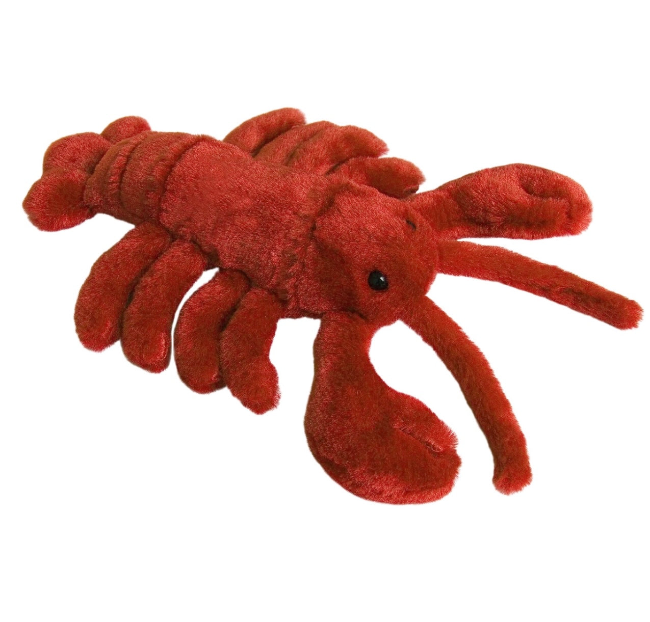 Aurora Lobster