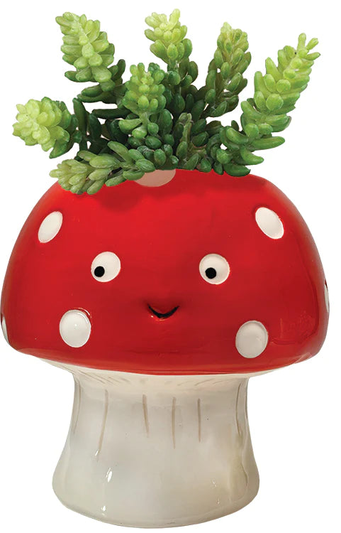 Streamline Mushroom Planter