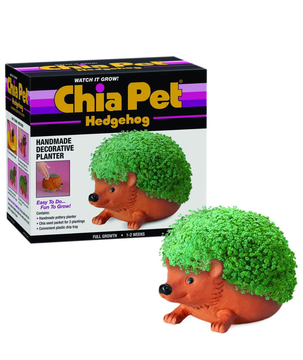 Chia Pet Assorted Styles
