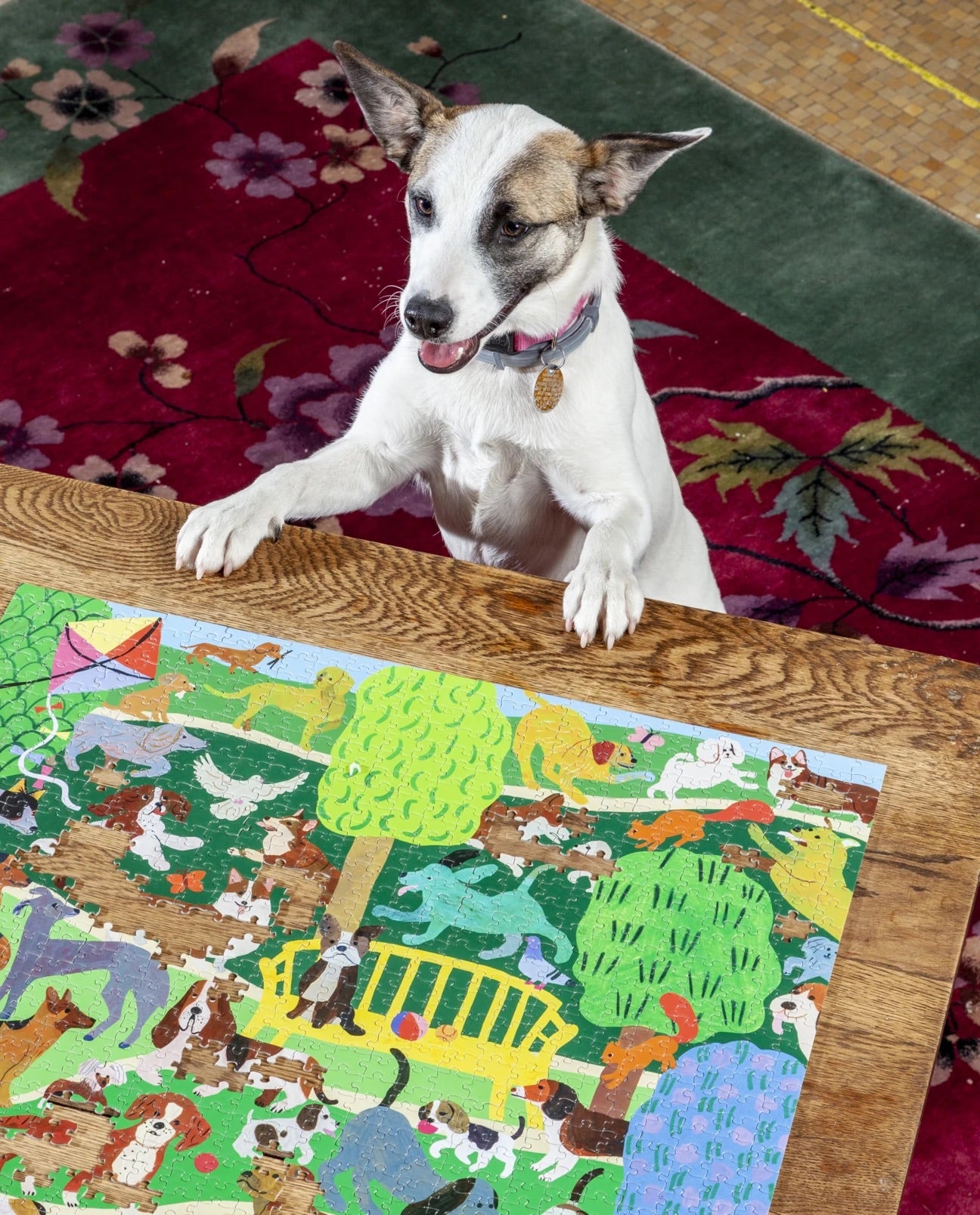 Eeboo Dogs in the Park Puzzle 1000pc