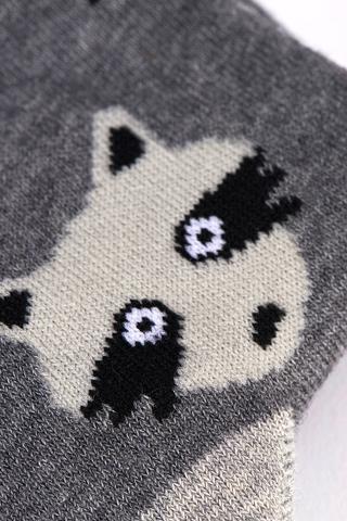 Main & Local Toronto Raccoons Socks